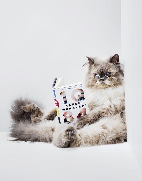 Life: Jamie Chung http://www.jamiechung.com/#life 