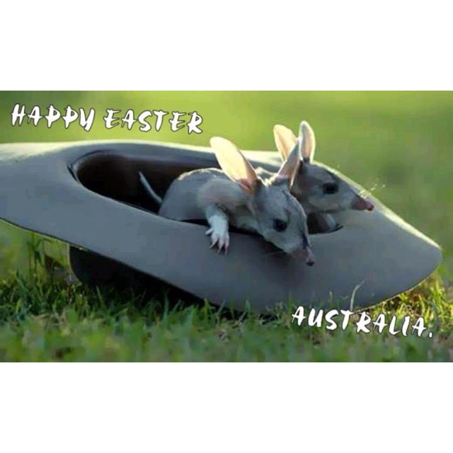 5227b3e73dc39050322861ed9195d83e