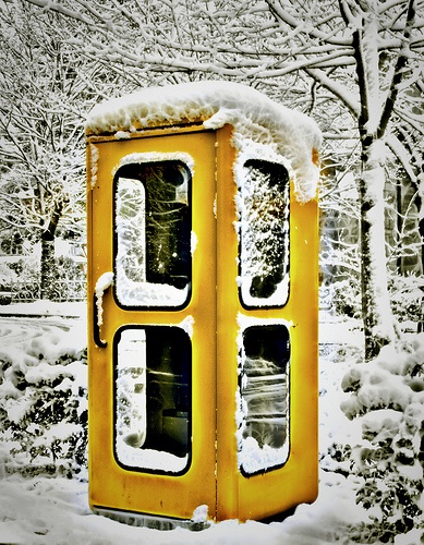 104beabba7f102443eabca4ed973d389