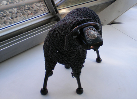sheep03