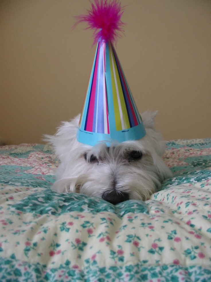 d831411bc1571ff13071601f7bc9d756