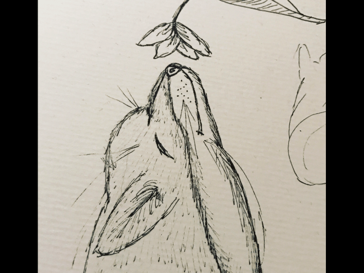 39CBAEFA-8467-488A-B183-9572C5CE5E0D